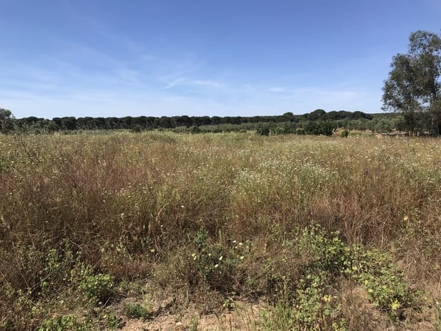 Grond te koop in Almonte - € 72.000 (Ref: 9850029)