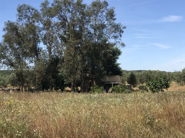 Grond te koop in Almonte - € 72.000 (Ref: 9850029)