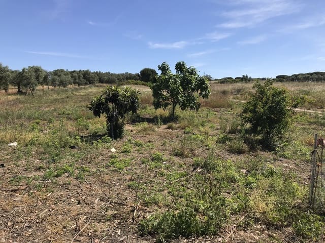 Grond te koop in Almonte - € 72.000 (Ref: 9850029)