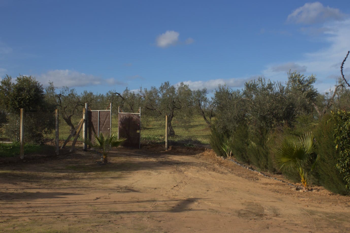 1 soveværelse Finca/Landehus til salg i Almonte med garage - € 42.000 (Ref: 9909796)