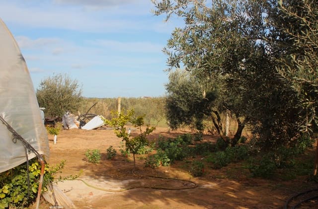 1 soveværelse Finca/Landehus til salg i Almonte med garage - € 42.000 (Ref: 9909796)