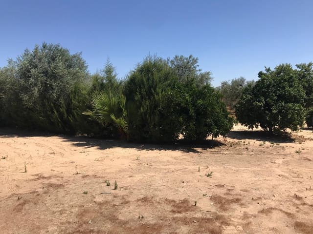 1 soveværelse Finca/Landehus til salg i Almonte med garage - € 42.000 (Ref: 9909796)