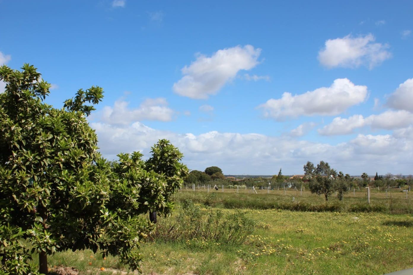 Building Plot for sale in Almonte - € 32,000 (Ref: 9973791)