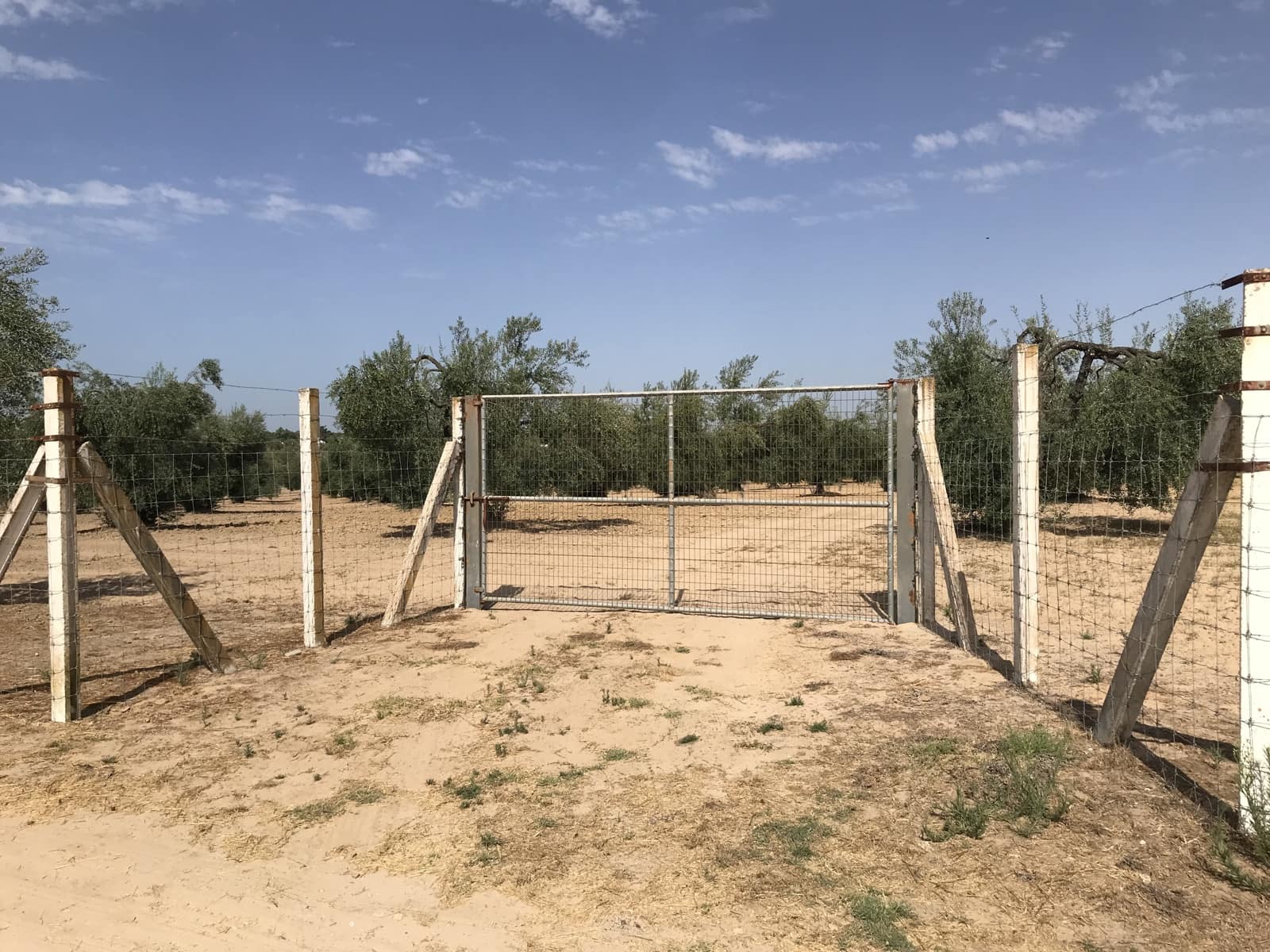 Building Plot for sale in Almonte - € 32,000 (Ref: 9973791)
