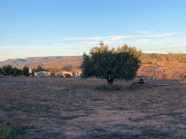 Terreno Não Urbanizado para venda em Ayora - 23 000 € (Ref: 9793573)