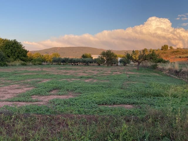 1 soverom Finca/Herregård til salgs i Ayora - € 14 000 (Ref: 9793577)