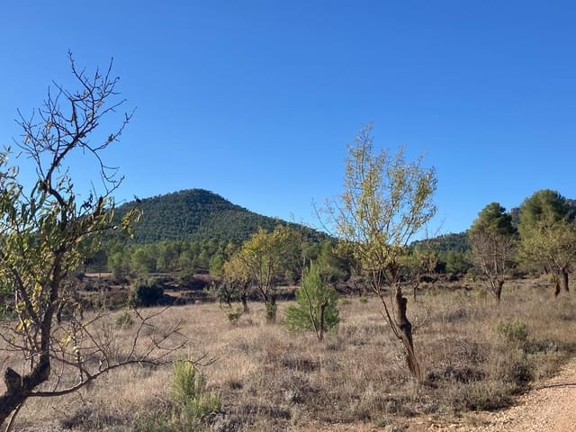 1 slaapkamer Finca/Landhuis te koop in Jarafuel met zwembad garage - € 65.000 (Ref: 9793578)