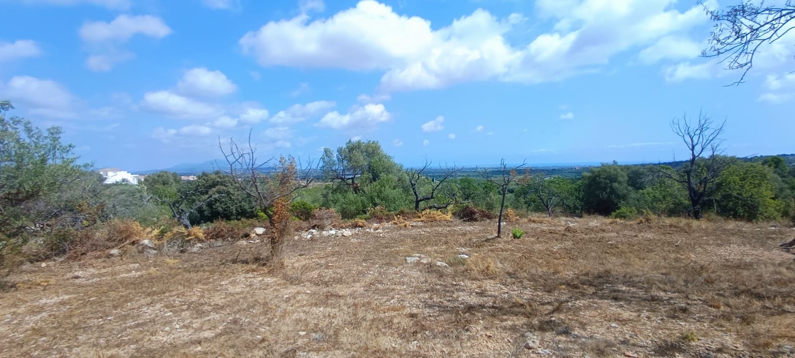 1 soveværelse Finca/Landehus til salg i Calig - € 115.000 (Ref: 10045835)