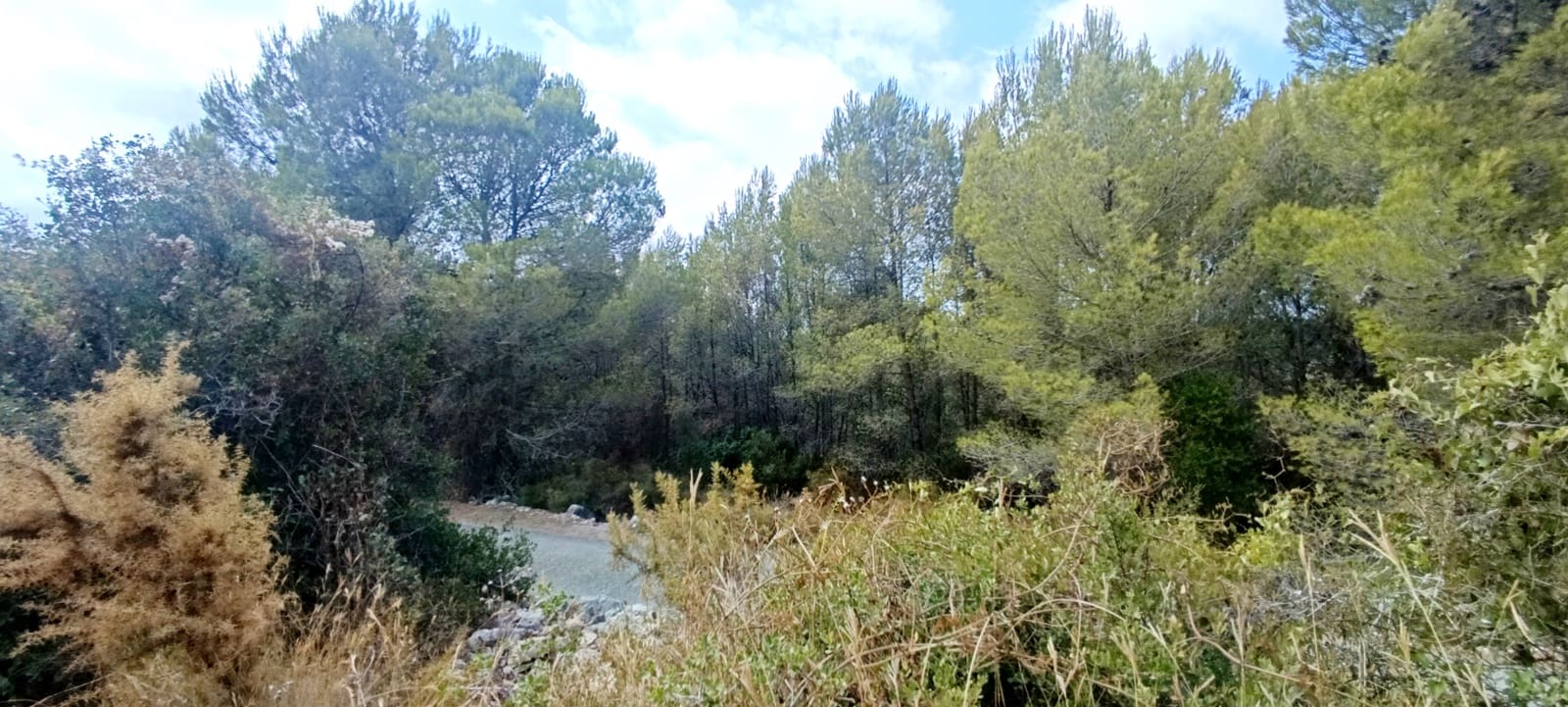 1 soveværelse Finca/Landehus til salg i Calig - € 115.000 (Ref: 10045835)