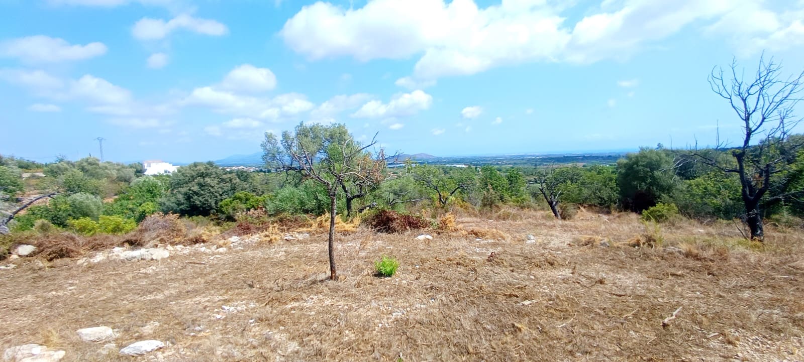 1 soveværelse Finca/Landehus til salg i Calig - € 115.000 (Ref: 10045835)