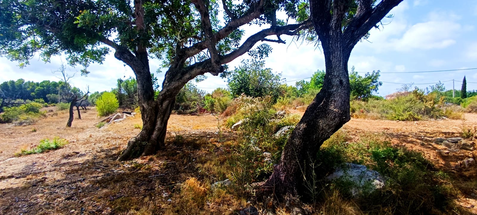 1 soveværelse Finca/Landehus til salg i Calig - € 115.000 (Ref: 10045835)