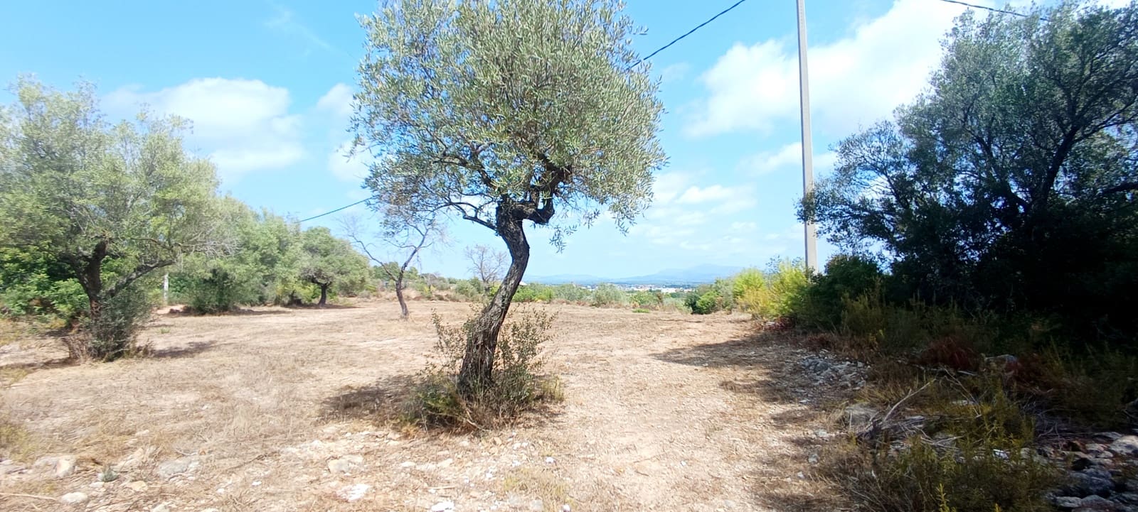 1 soveværelse Finca/Landehus til salg i Calig - € 115.000 (Ref: 10045835)
