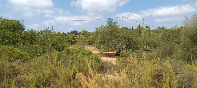 1 camera da letto Finca/Casa di Campagna in vendita in Càlig - 115.000 € (Rif: 10045835)