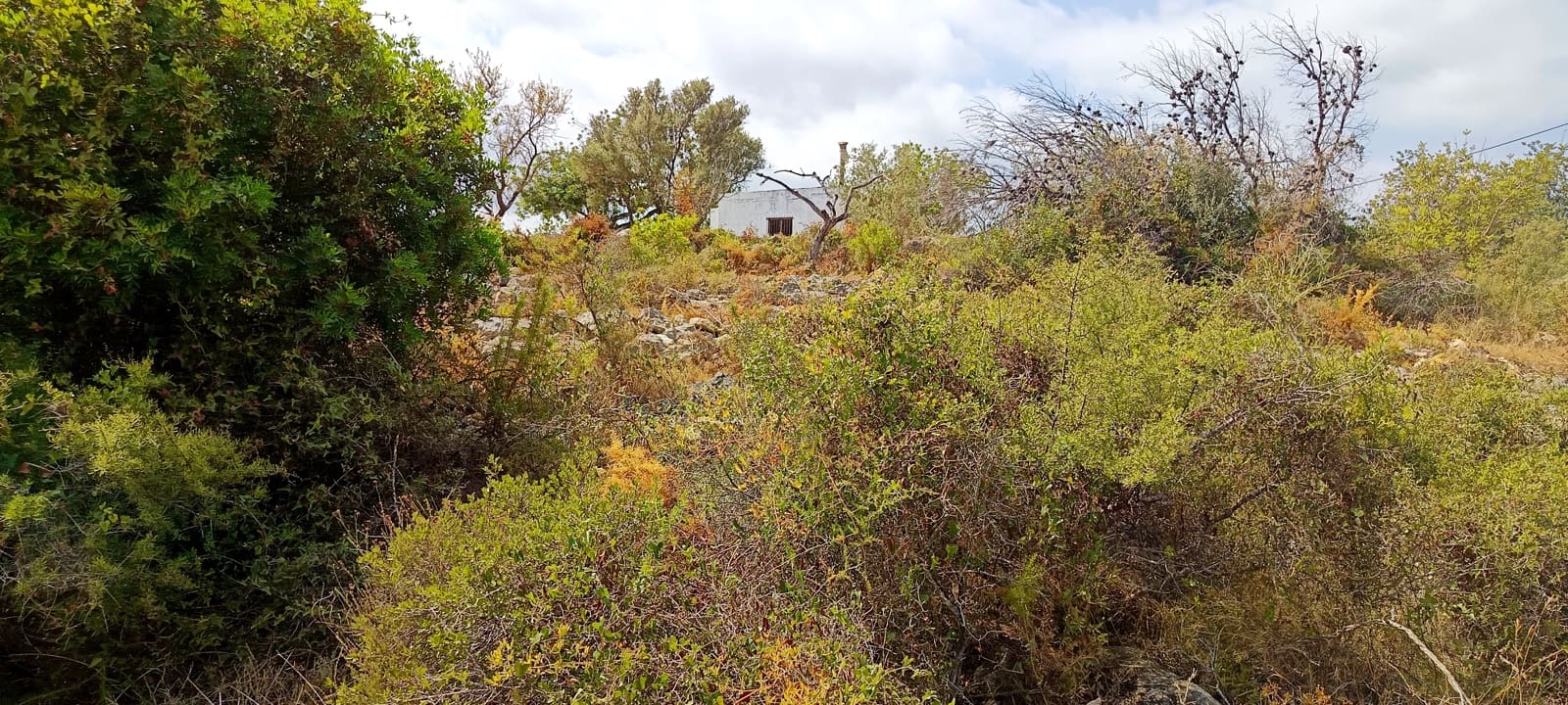 1 soveværelse Finca/Landehus til salg i Calig - € 115.000 (Ref: 10045835)