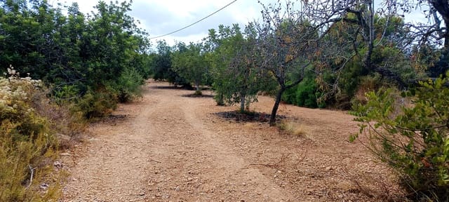 1 camera da letto Finca/Casa di Campagna in vendita in Càlig - 115.000 € (Rif: 10045835)