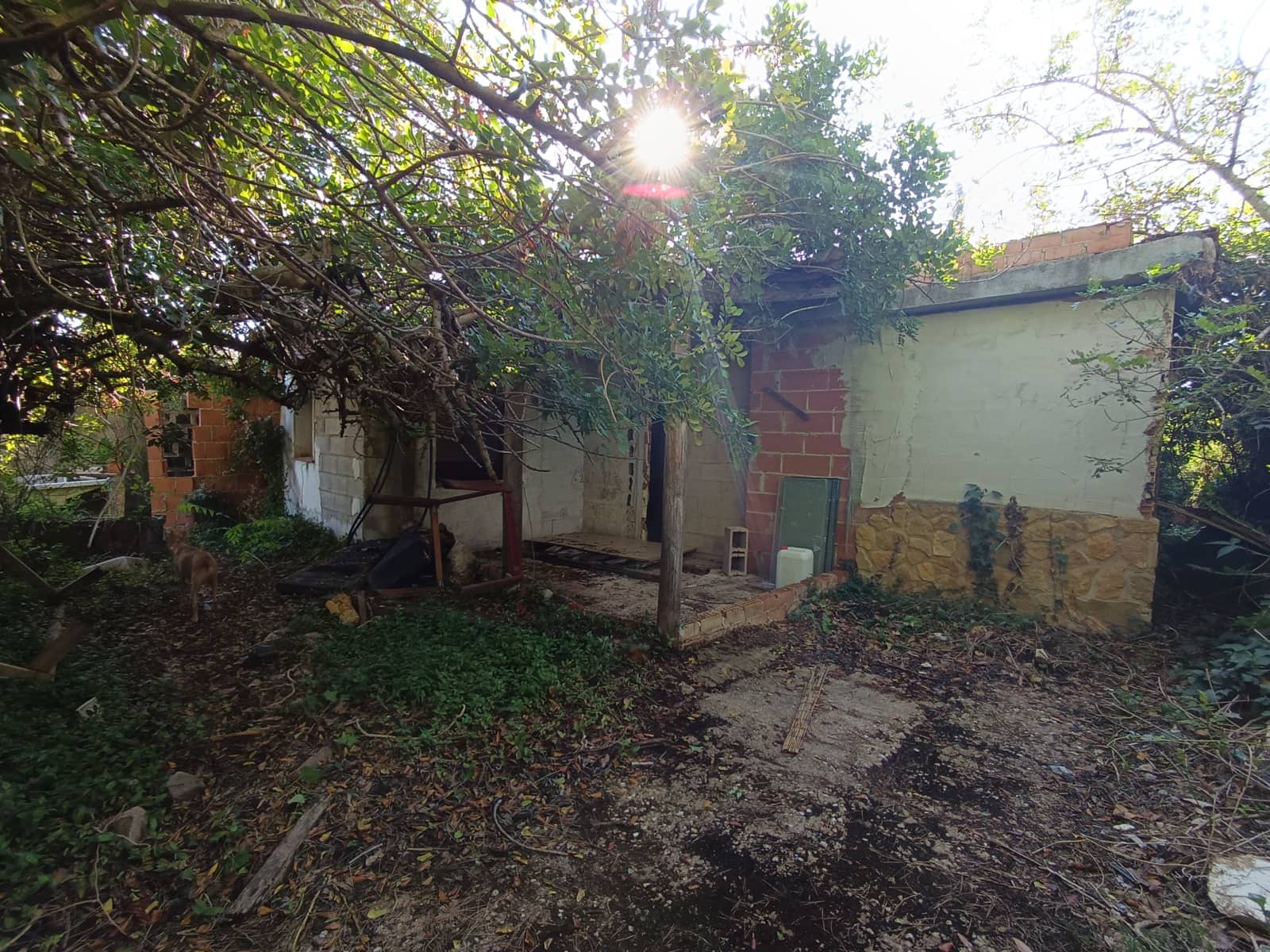 Finca/Country House for sale in Benicarlo - € 45,000 (Ref: 9852259)