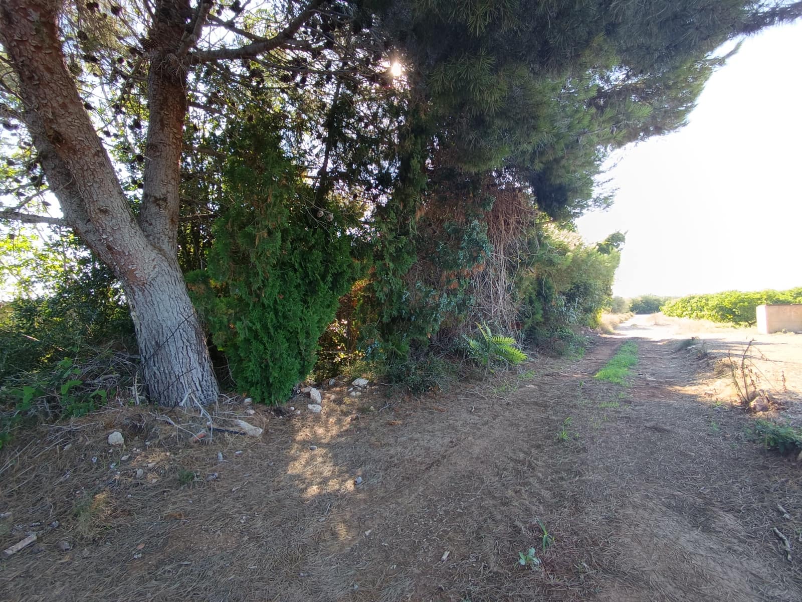 Finca/Country House for sale in Benicarlo - € 45,000 (Ref: 9852259)