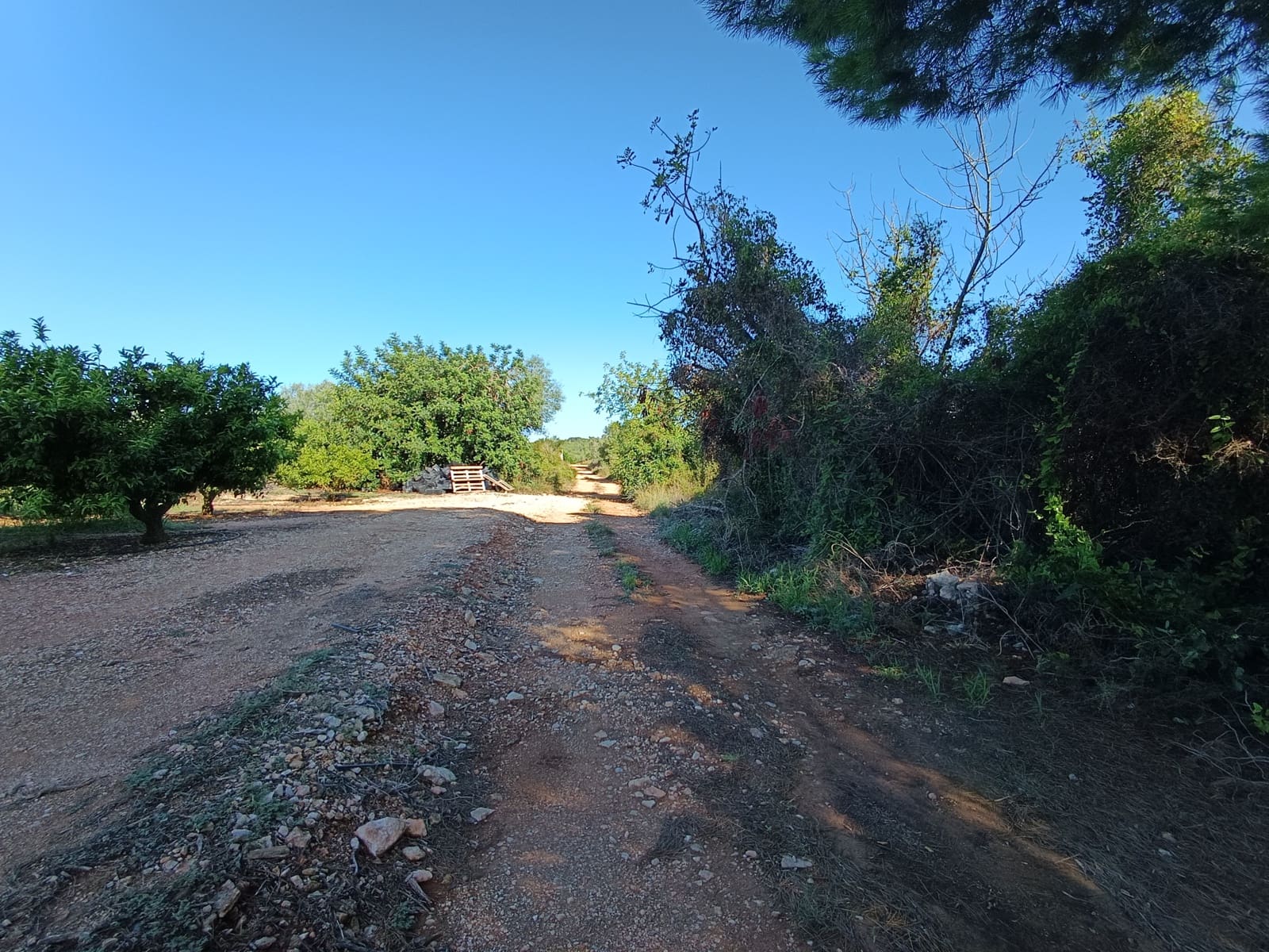 Finca/Country House for sale in Benicarlo - € 45,000 (Ref: 9852259)