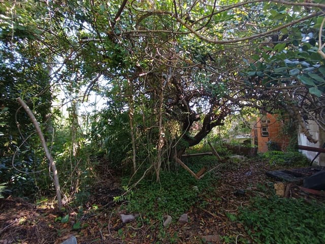 Finca/Country House for sale in Benicarló - € 45,000 (Ref: 9852259)