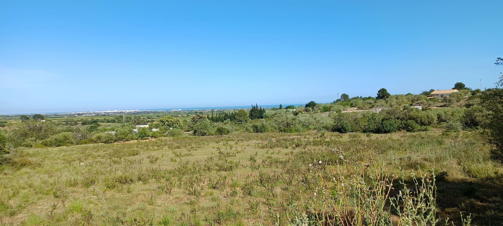 Grunde uden byggetilladelser til salg i Benicarlo - € 115.000 (Ref: 9852276)