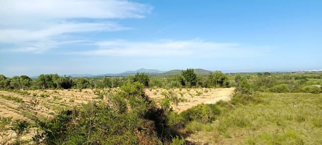 Grunde uden byggetilladelser til salg i Benicarló - € 115.000 (Ref: 9852276)
