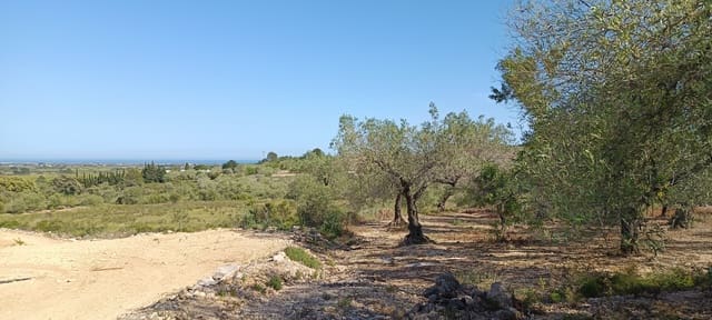 Grunde uden byggetilladelser til salg i Benicarló - € 115.000 (Ref: 9852276)