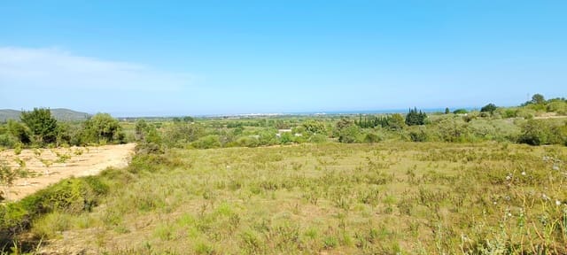 Grunde uden byggetilladelser til salg i Benicarló - € 115.000 (Ref: 9852276)