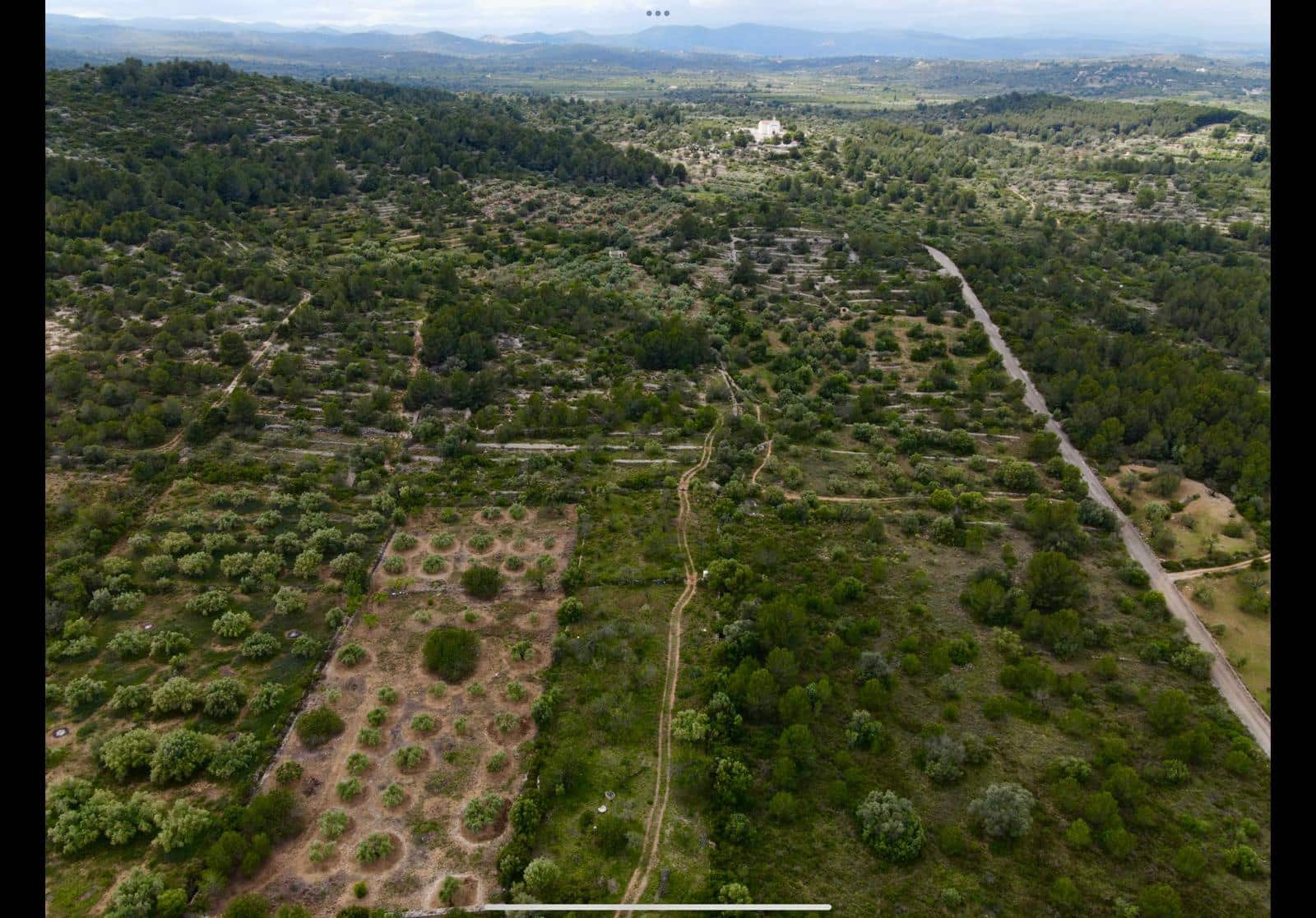 Grunde uden byggetilladelser til salg i Benicarlo - € 39.000 (Ref: 9852285)