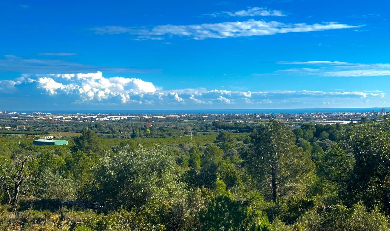Grunde uden byggetilladelser til salg i Benicarlo - € 39.000 (Ref: 9852285)