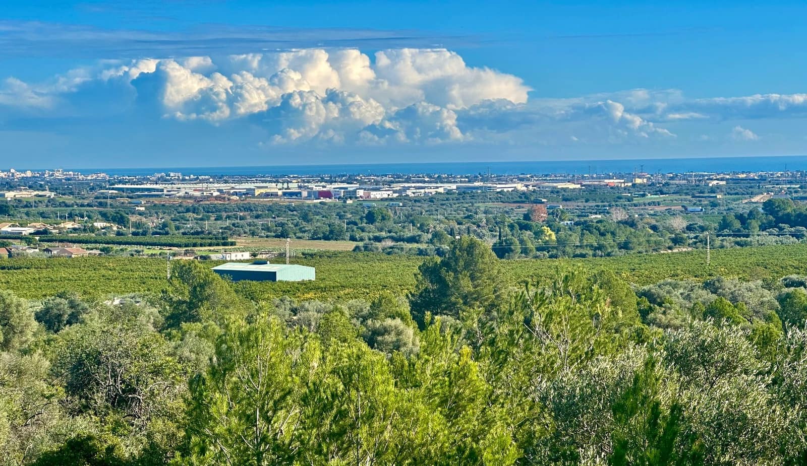 Grunde uden byggetilladelser til salg i Benicarlo - € 39.000 (Ref: 9852285)