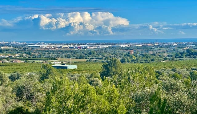 Grunde uden byggetilladelser til salg i Benicarló - € 39.000 (Ref: 9852285)