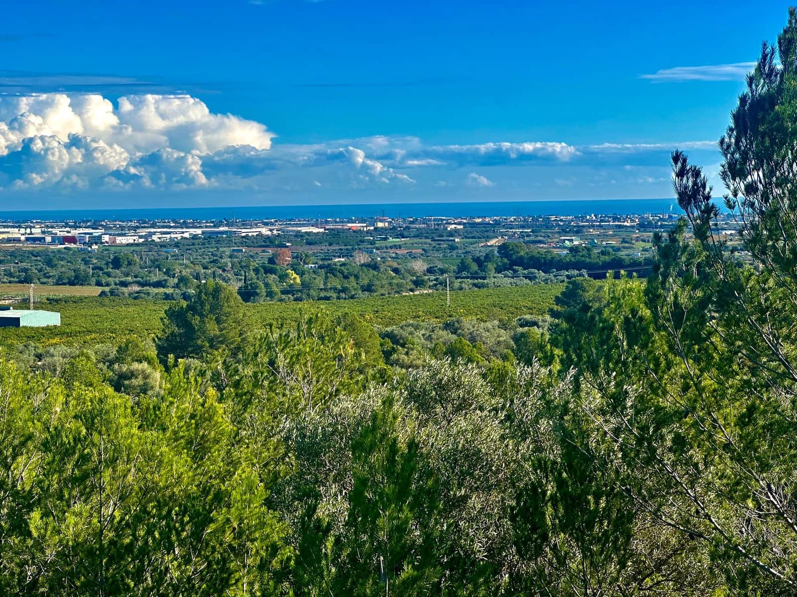 Grunde uden byggetilladelser til salg i Benicarlo - € 39.000 (Ref: 9852285)