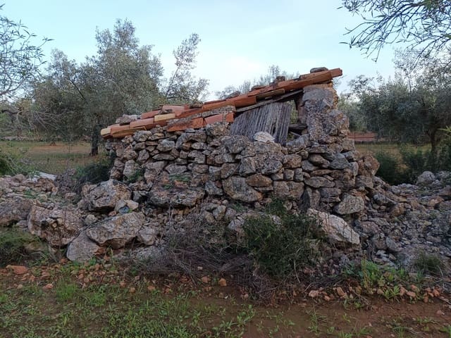 Undeveloped Land for sale in Càlig - € 34,000 (Ref: 9852954)