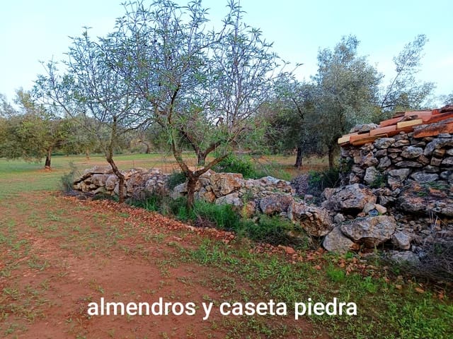 Undeveloped Land for sale in Càlig - € 34,000 (Ref: 9852954)