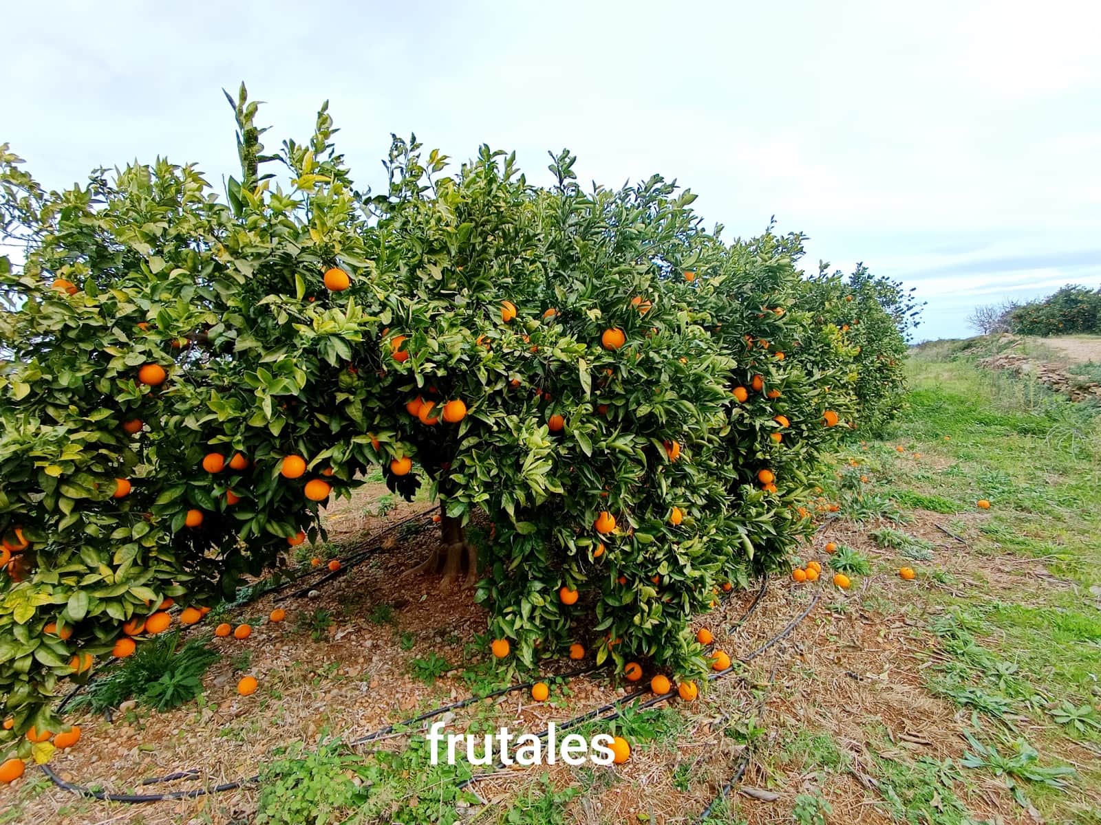 Building Plot for sale in Calig - € 49,000 (Ref: 9852961)