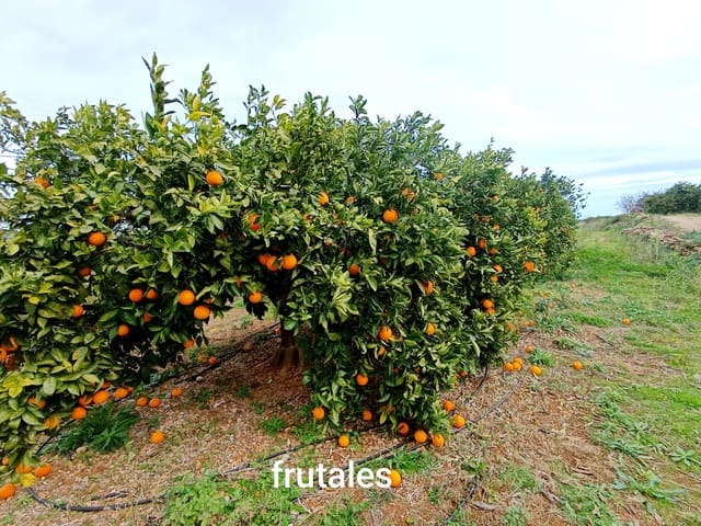 Building Plot for sale in Càlig - € 49,000 (Ref: 9852961)
