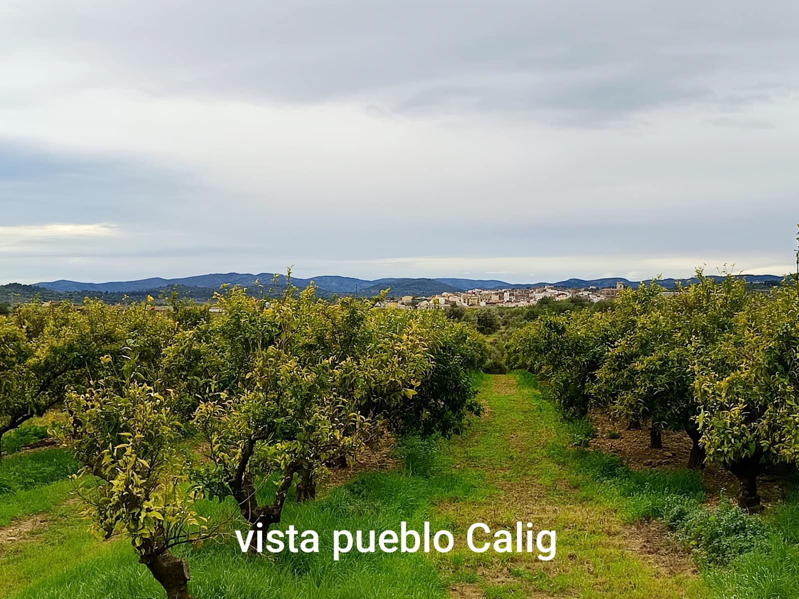 Building Plot for sale in Calig - € 49,000 (Ref: 9852961)