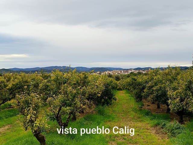 Building Plot for sale in Càlig - € 49,000 (Ref: 9852961)
