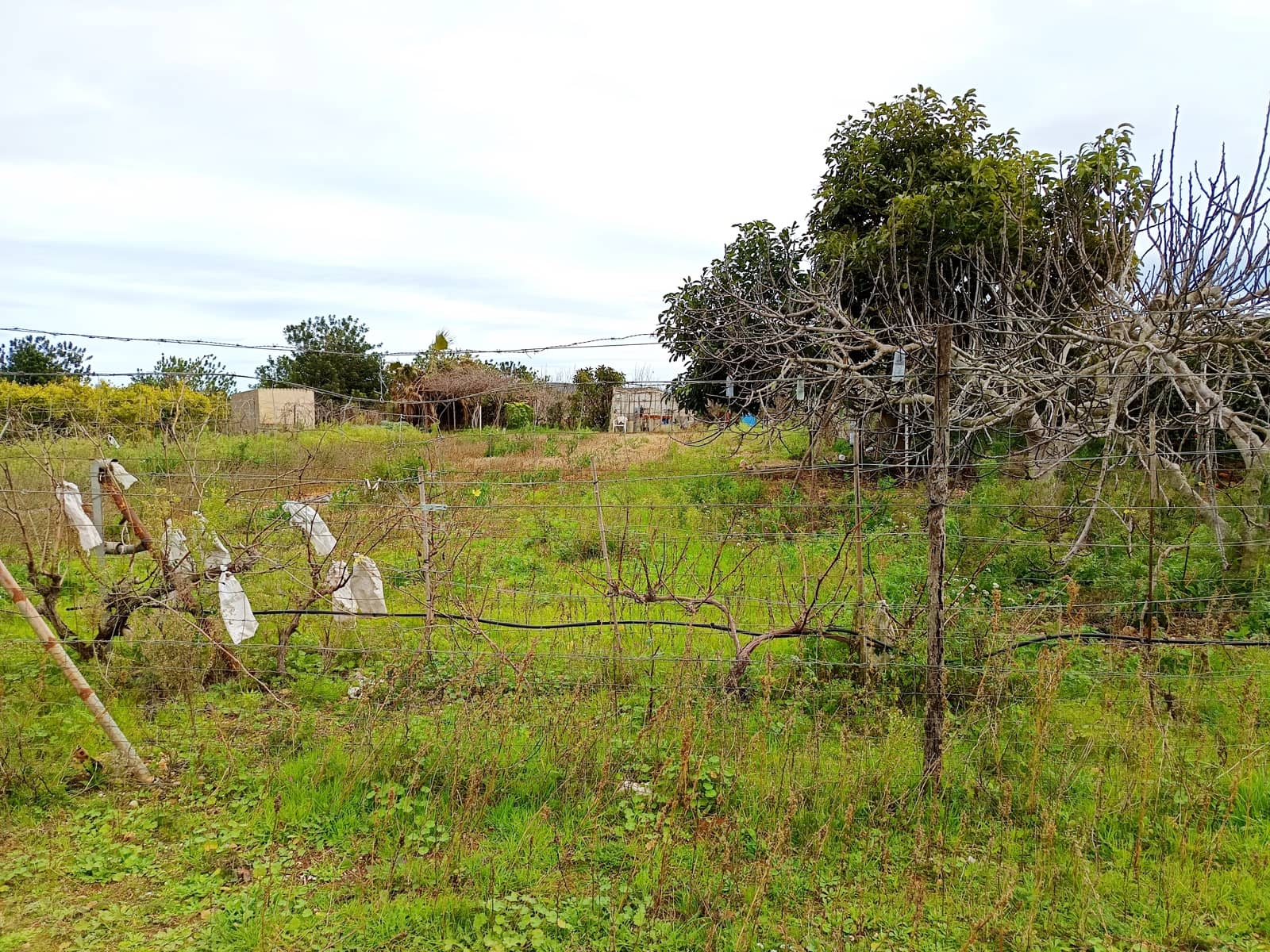 Building Plot for sale in Calig - € 49,000 (Ref: 9852961)