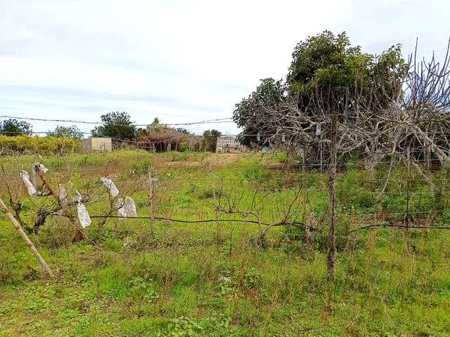 Building Plot for sale in Càlig - € 49,000 (Ref: 9852961)