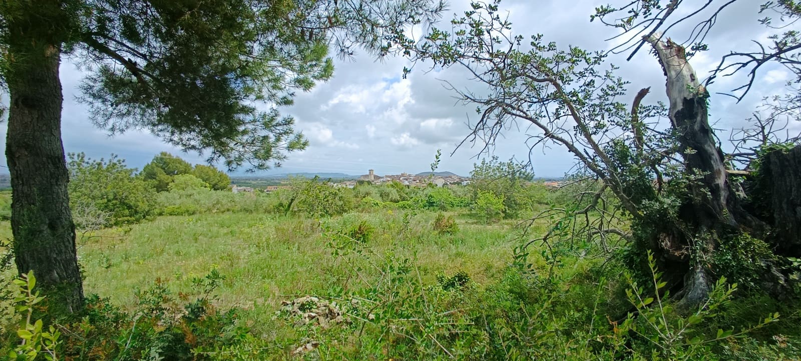 Grond te koop in Calig - € 60.000 (Ref: 9858339)