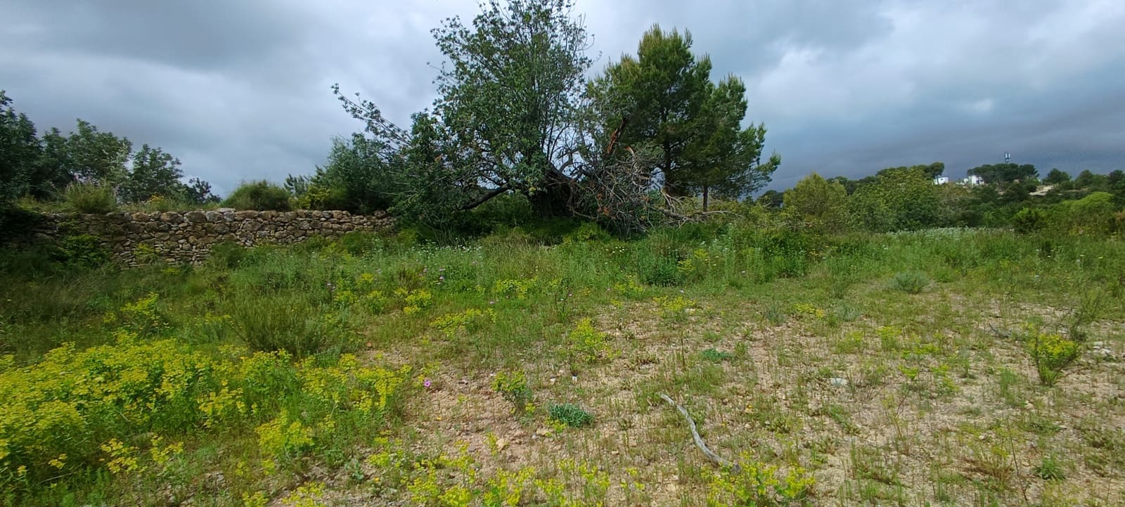 Grond te koop in Calig - € 60.000 (Ref: 9858339)