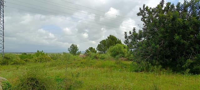 Grond te koop in Càlig - € 60.000 (Ref: 9858339)