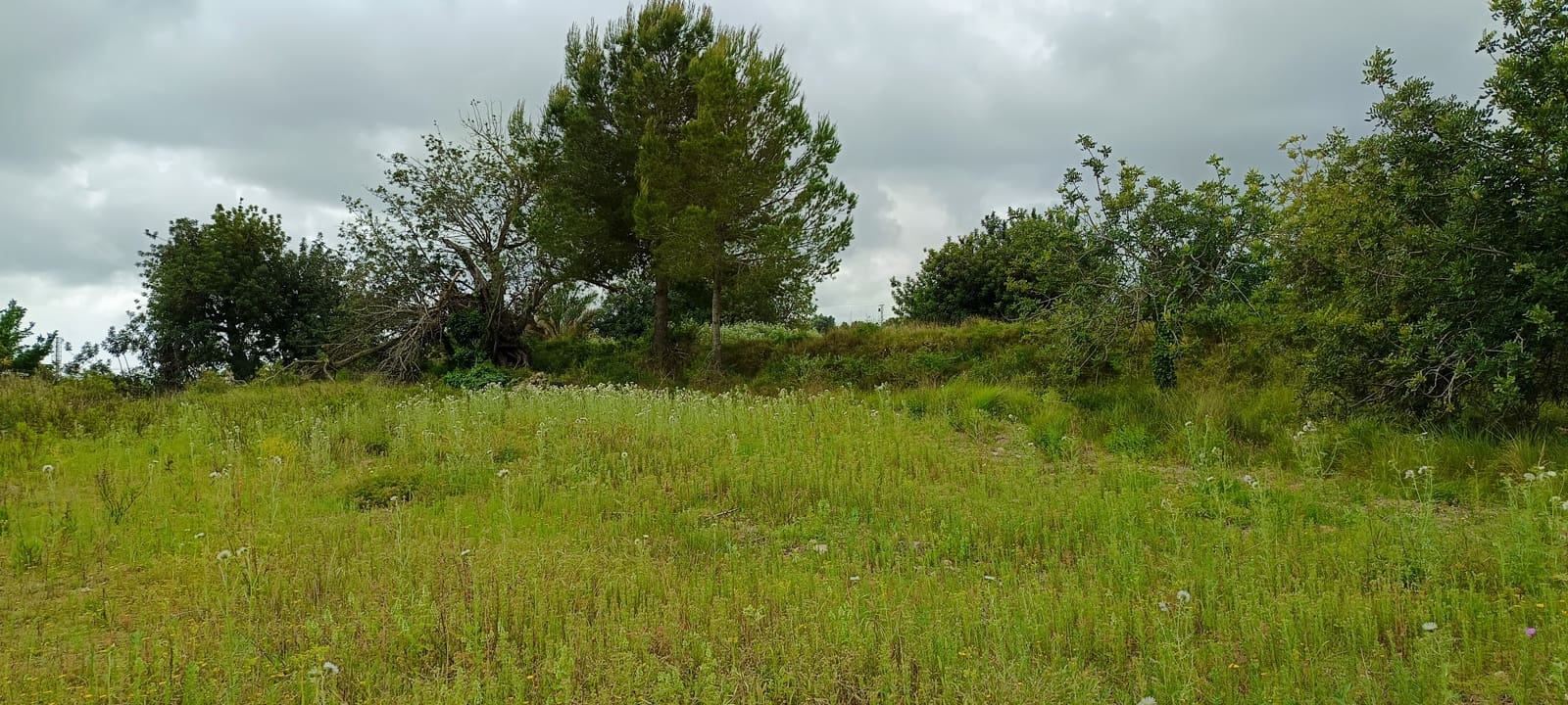 Grond te koop in Calig - € 60.000 (Ref: 9858339)
