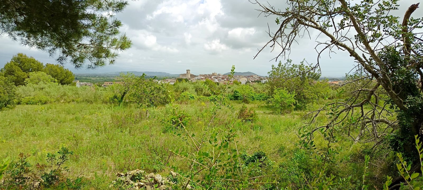 Grond te koop in Calig - € 60.000 (Ref: 9858339)