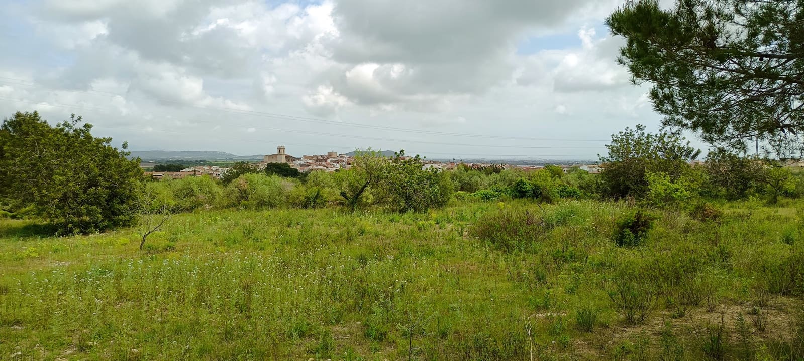 Grond te koop in Calig - € 60.000 (Ref: 9858339)