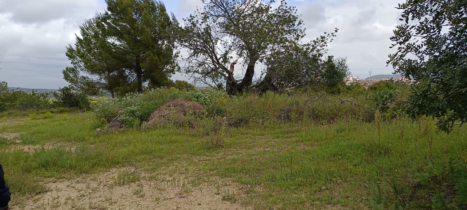 Grond te koop in Calig - € 60.000 (Ref: 9858339)