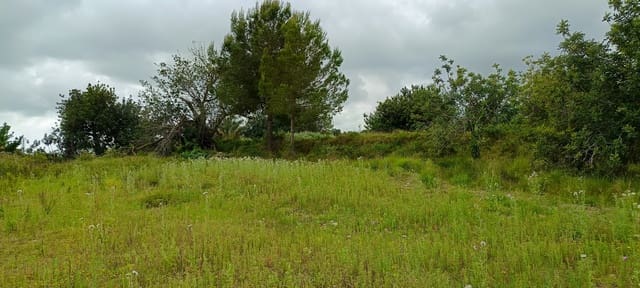 Grond te koop in Càlig - € 60.000 (Ref: 9858339)