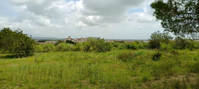 Grond te koop in Càlig - € 60.000 (Ref: 9858339)
