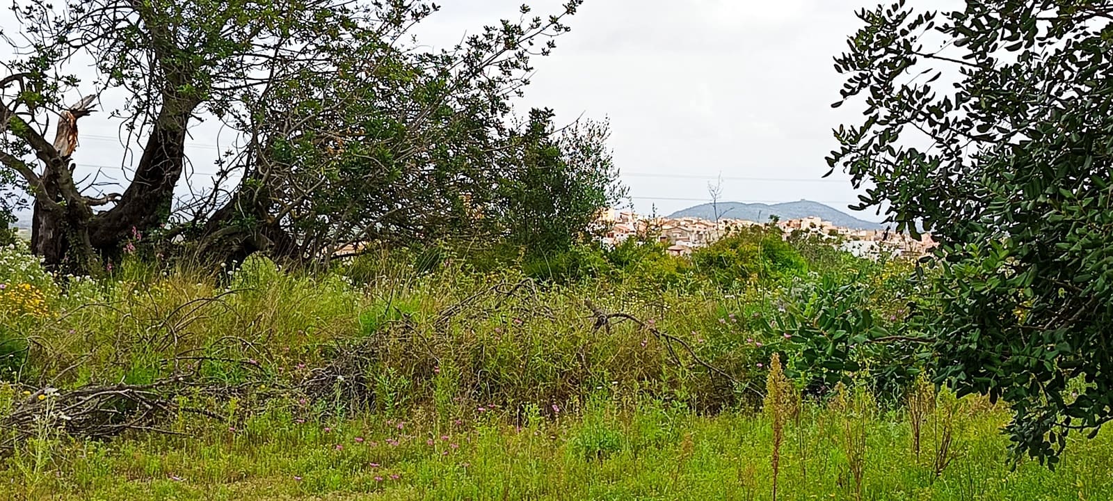 Grond te koop in Calig - € 60.000 (Ref: 9858339)